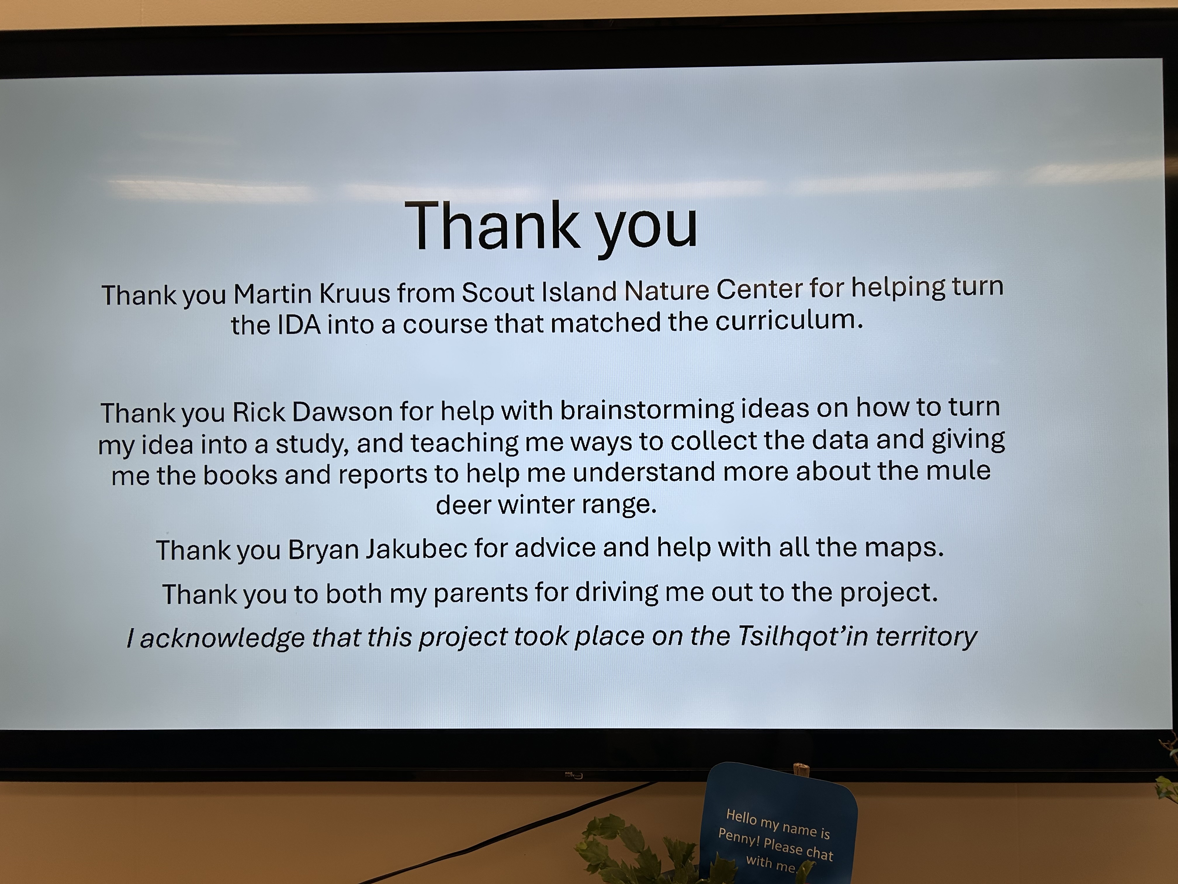 Mule Deer1 Nara Riplinger